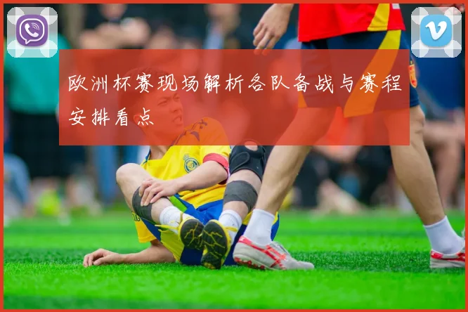 欧洲杯赛现场解析各队备战与赛程安排看点