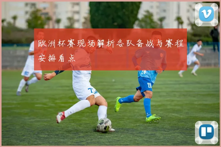 欧洲杯赛现场解析各队备战与赛程安排看点
