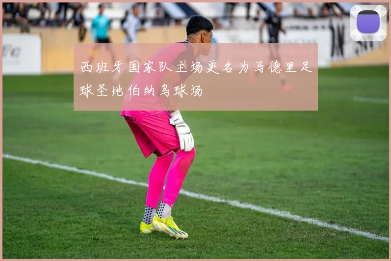 西班牙国家队主场更名为马德里足球圣地伯纳乌球场