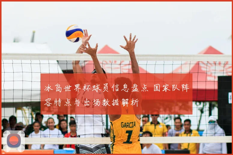冰岛世界杯球员信息盘点 国家队阵容特点与出场数据解析