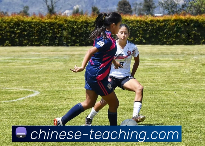 云开体育在线登陆服务体系